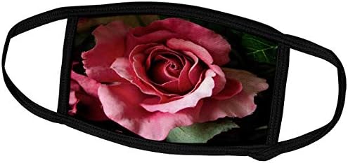 3dRose Szép Rózsaszín Virág Kibontakozó Rózsa - Arcod Kiterjed (fc_296459_1)