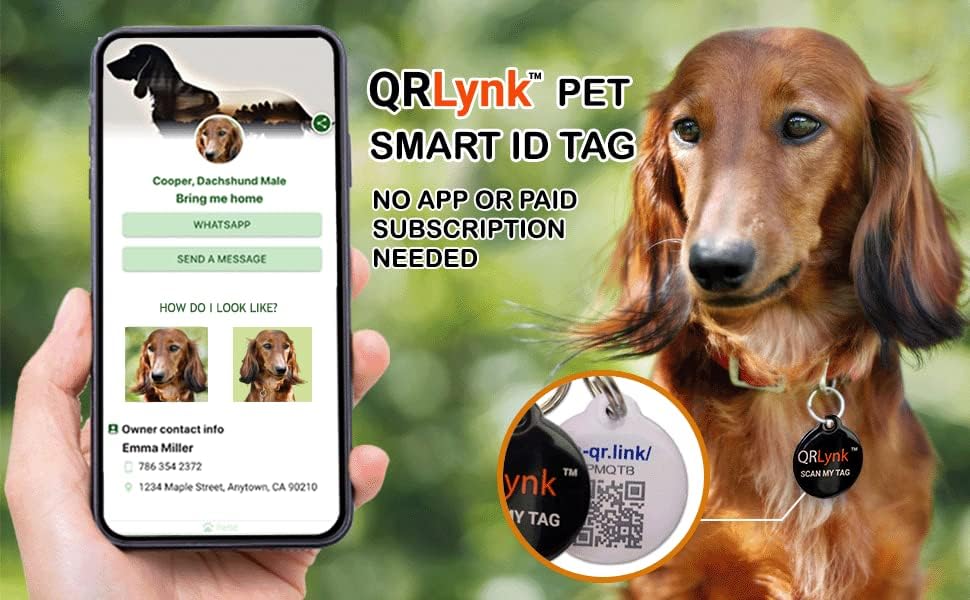QRLynk™ PET Okos AZONOSÍTÓ CÍMKE | Körbe Bevont Fém | Web Engedélyezve Kapcsolódik egy Online Mobil Oldal | Többszörös