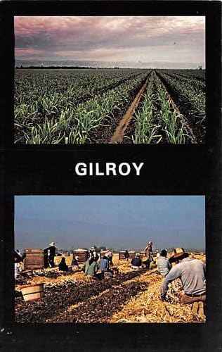Gilroy, A Kaliforniai Képeslap